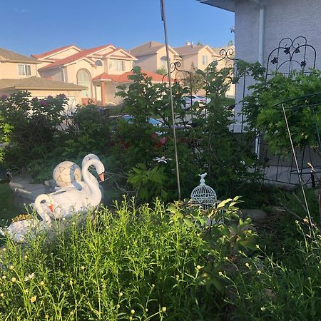Hamptons Rose Garden Family! YYC Exterior foto